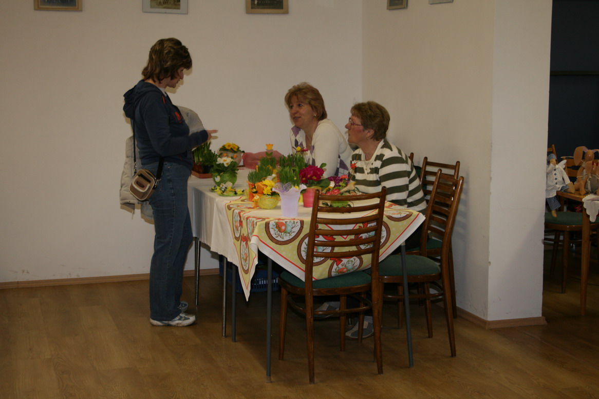 foto16.jpg